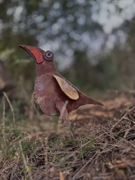 A wild bird