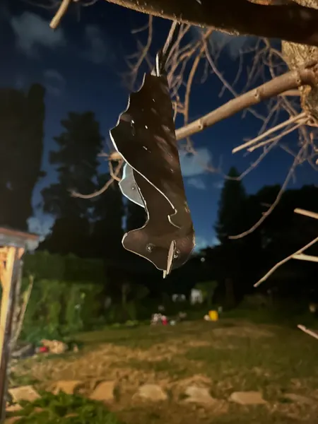 A Bat