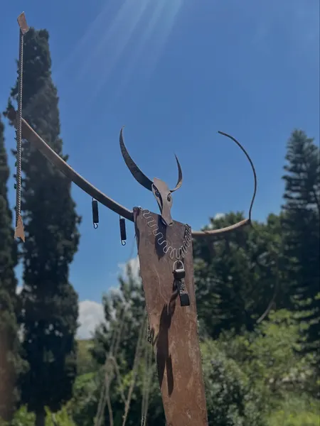 Shaman