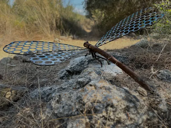 #dragonfly #metalart