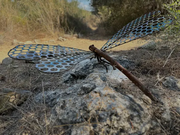 #dragonfly #metalart
