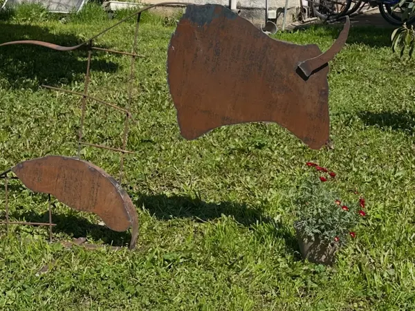 חלב בטעם חלודה. הרפתן.